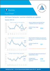 SAPN 2015-16 Summer network performance infographic